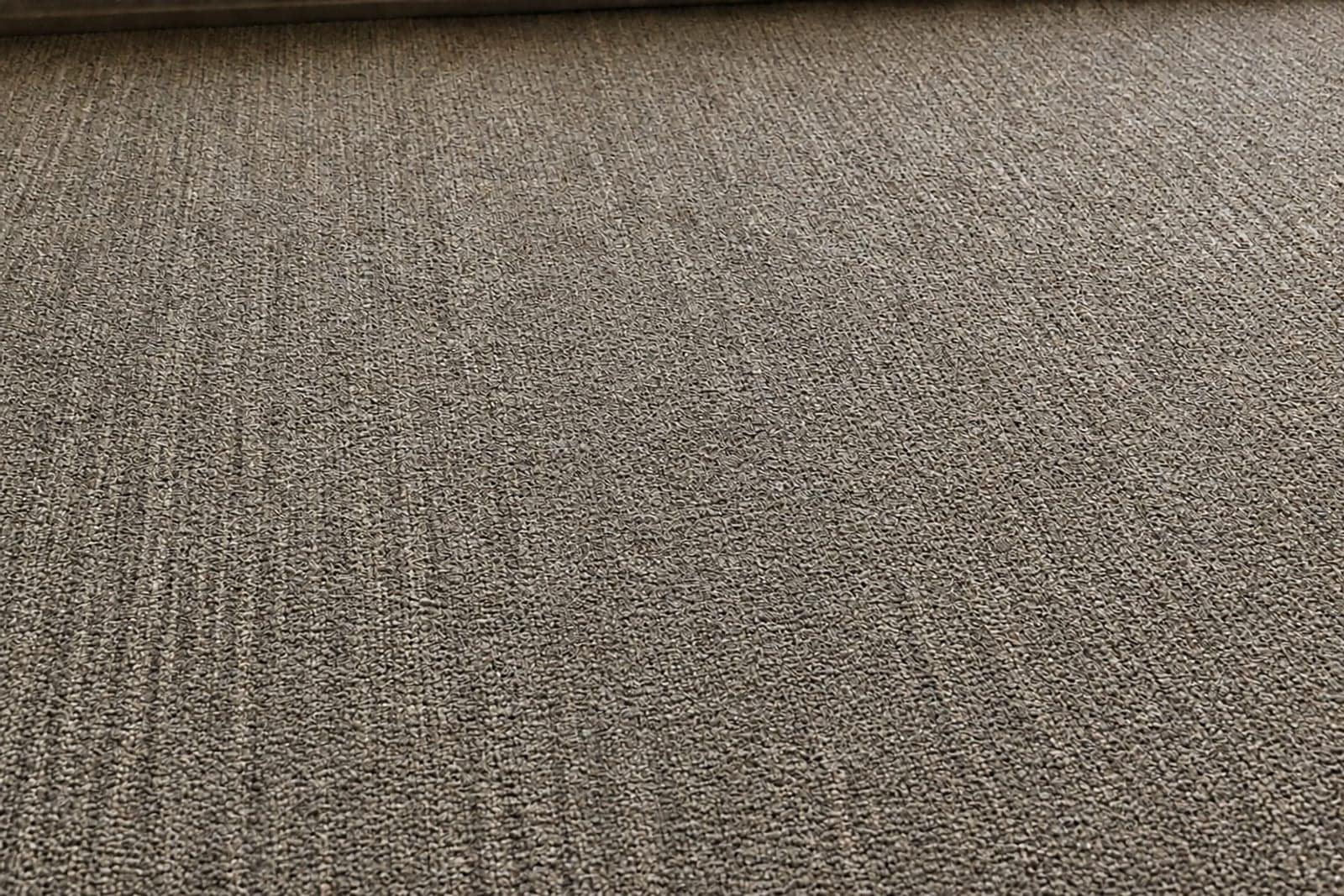 After cleaning — pile lifted, noticeably cleaner