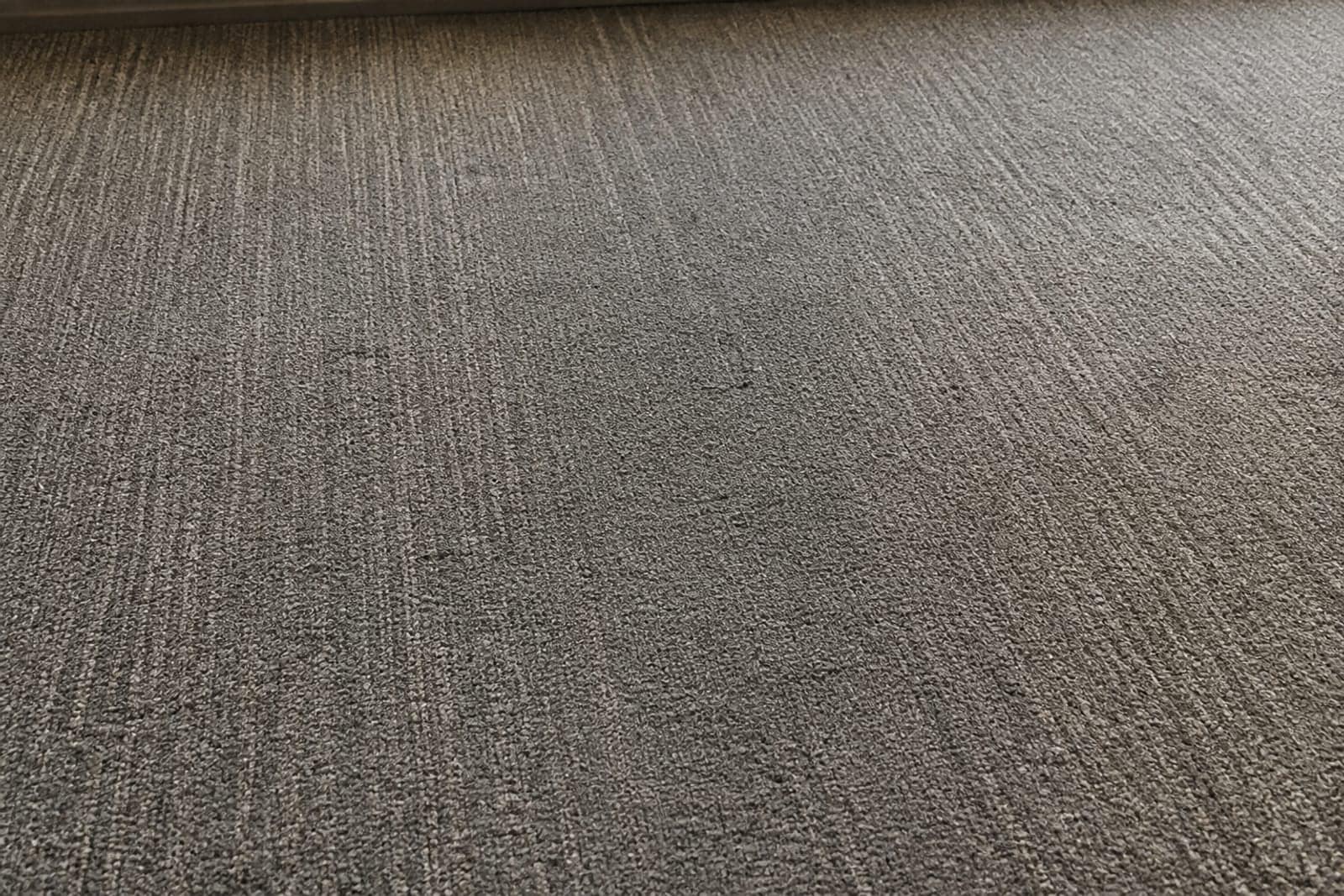 Guestroom carpet — matted and greyed from foot traffic
