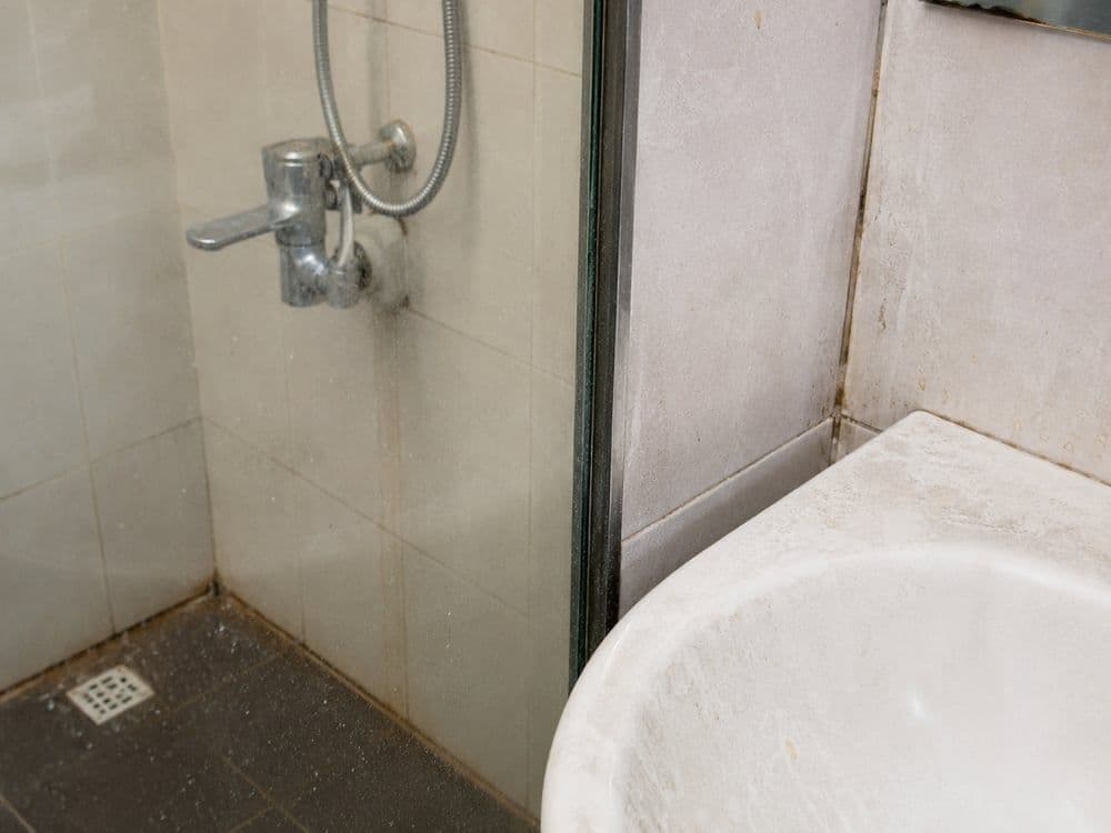 Bathroom with soap scum and grime