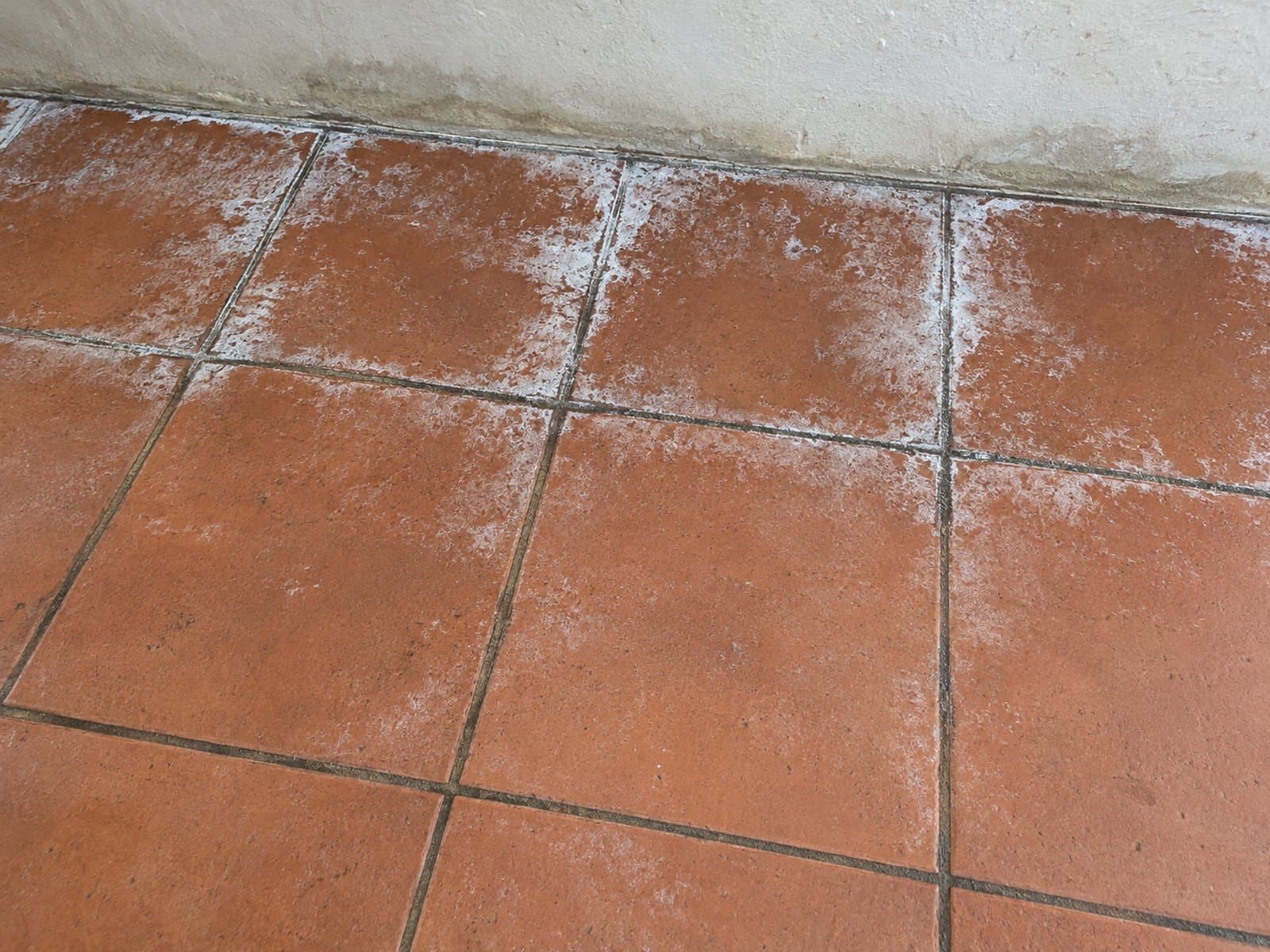 White powdery patches along grout lines and terracotta tile edges beside a wall